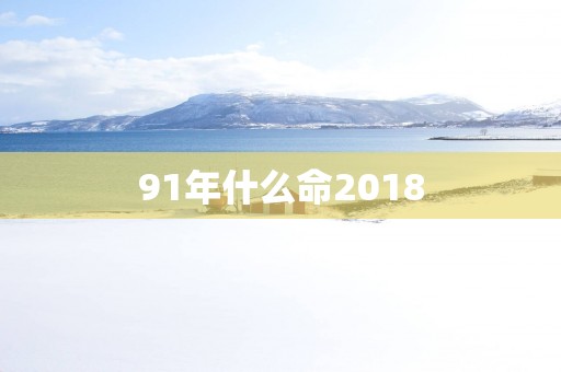 91年什么命2018