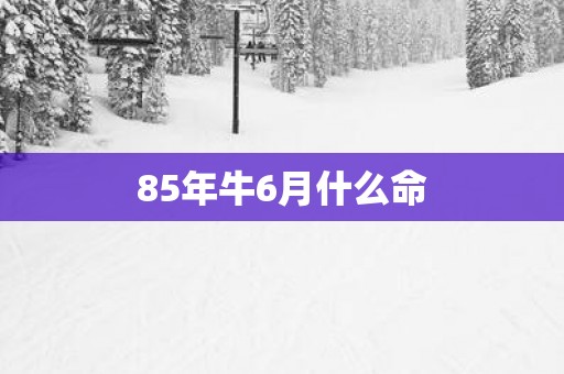 85年牛6月什么命