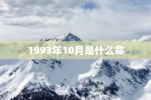 1993年10月是什么命