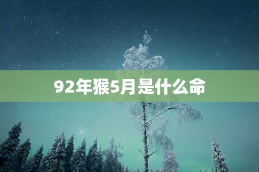 92年猴5月是什么命