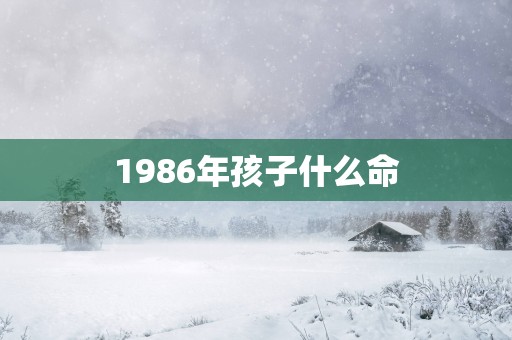 1986年孩子什么命