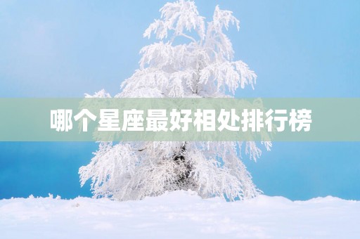 哪个星座最好相处排行榜