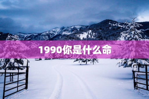 1990你是什么命
