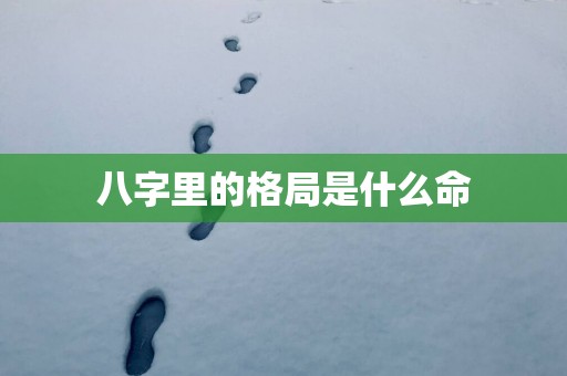 八字里的格局是什么命