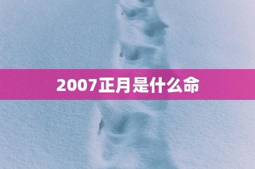 2007正月是什么命