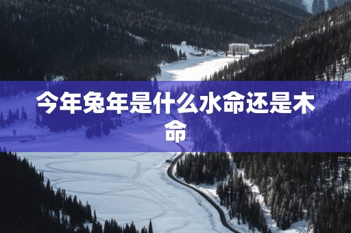 今年蛇年是什么水命还是木命