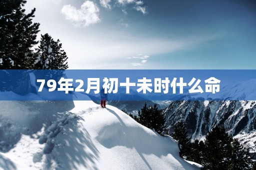 79年2月初十未时什么命