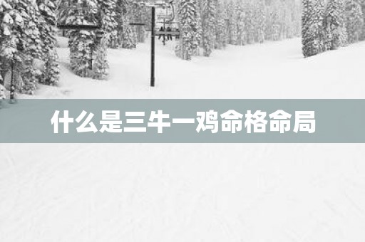 什么是三牛一鸡命格命局