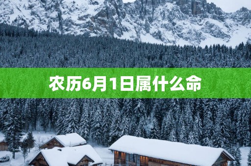 农历6月1日属什么命