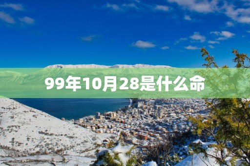 99年10月28是什么命