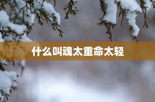 什么叫魂太重命太轻