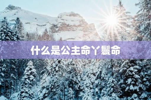 什么是公主命丫鬟命