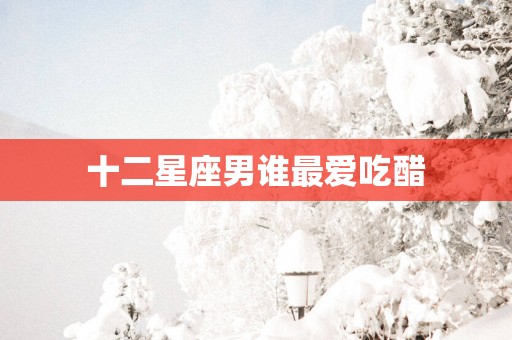 十二星座男谁最爱吃醋