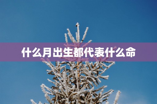 什么月出生都代表什么命
