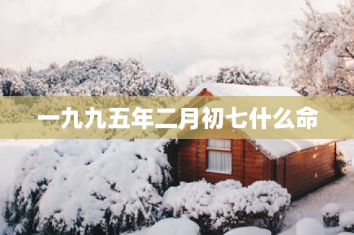 一九九五年二月初七什么命