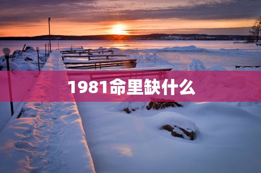 1981命里缺什么