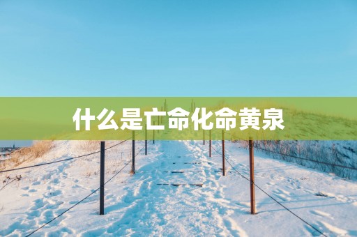 什么是亡命化命黄泉