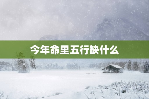 今年命里五行缺什么
