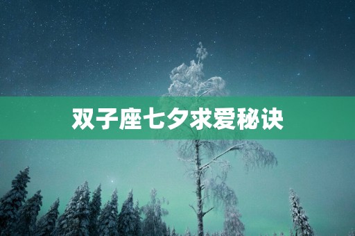 双子座七夕求爱秘诀