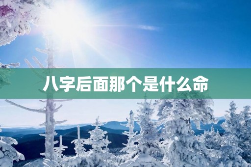 八字后面那个是什么命