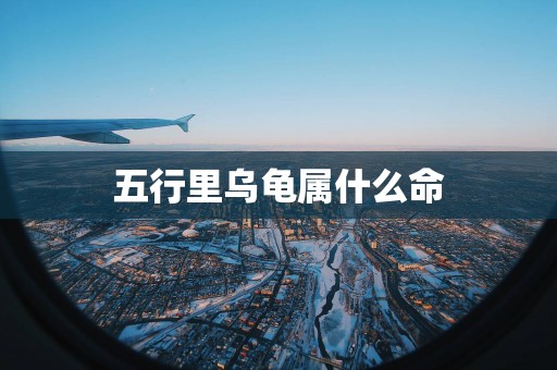 五行里乌龟属什么命