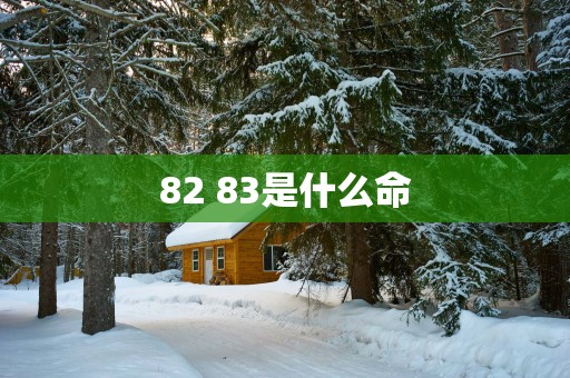 82 83是什么命