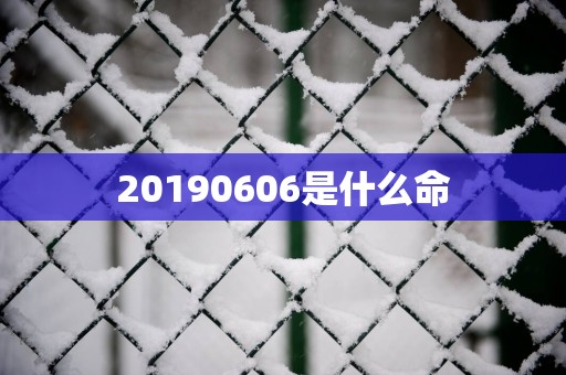 20190606是什么命
