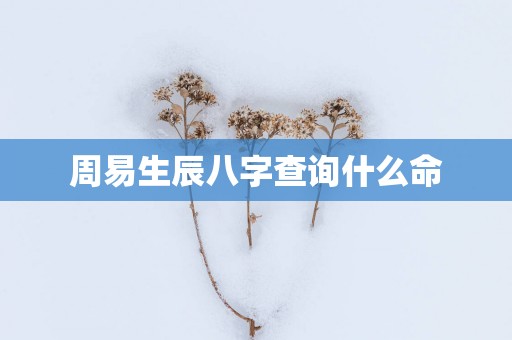 周易生辰八字查询什么命