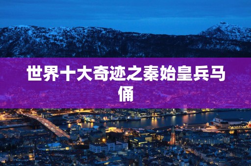 世界十大奇迹之秦始皇兵马俑