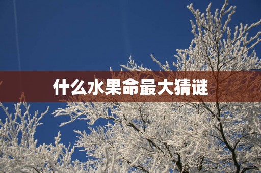 什么水果命最大猜谜