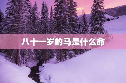 八十一岁的马是什么命