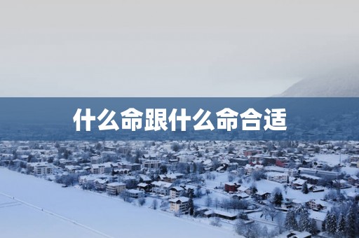 什么命跟什么命合适