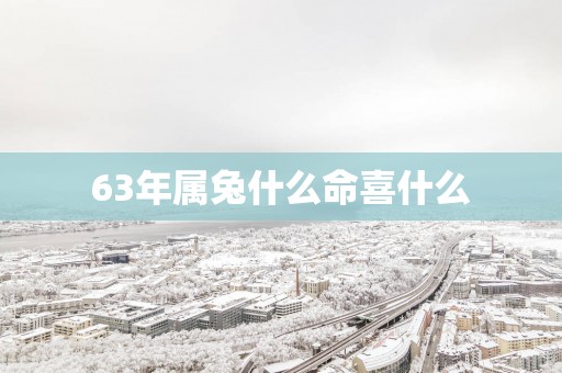 63年属兔什么命喜什么