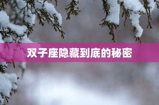 双子座隐藏到底的秘密
