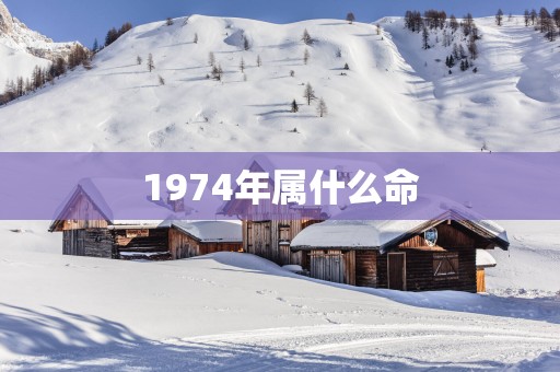 1974年属什么命