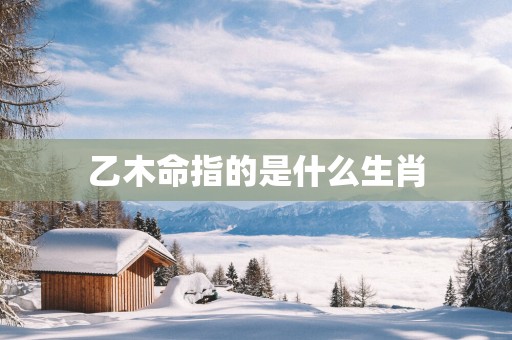 乙木命指的是什么生肖