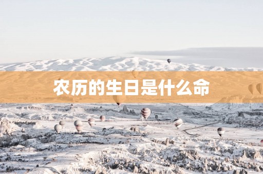 农历的生日是什么命