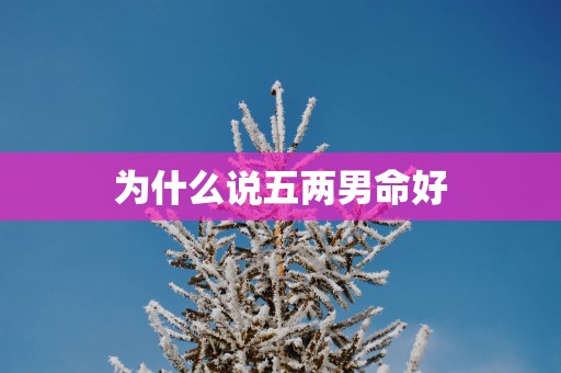 为什么说五两男命好