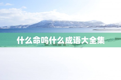 什么命呜什么成语大全集