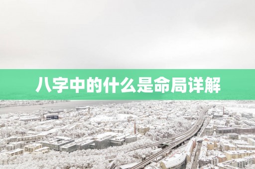 八字中的什么是命局详解