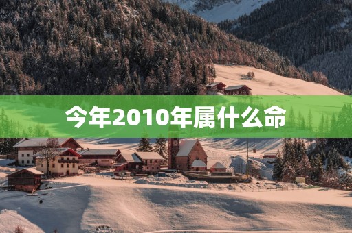 今年2010年属什么命