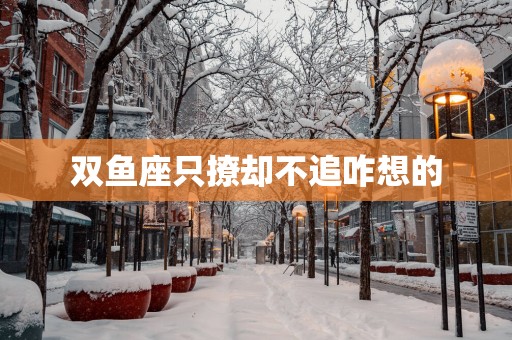 双鱼座只撩却不追咋想的