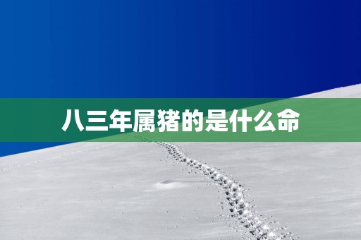 八三年属猪的是什么命