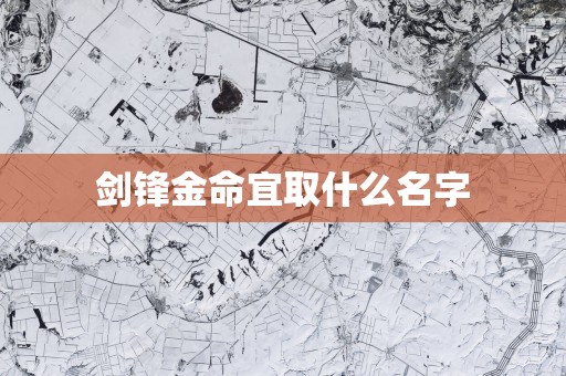 剑锋金命宜取什么名字