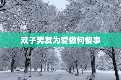 双子男友为爱做何傻事