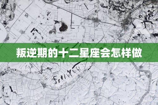 叛逆期的十二星座会怎样做