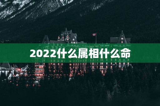 2025什么属相什么命