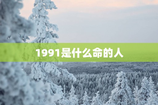 1991是什么命的人