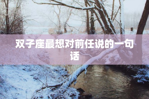 双子座最想对前任说的一句话