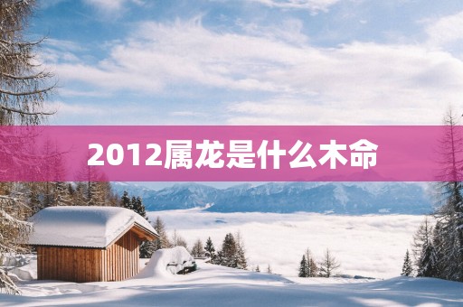 2012属龙是什么木命